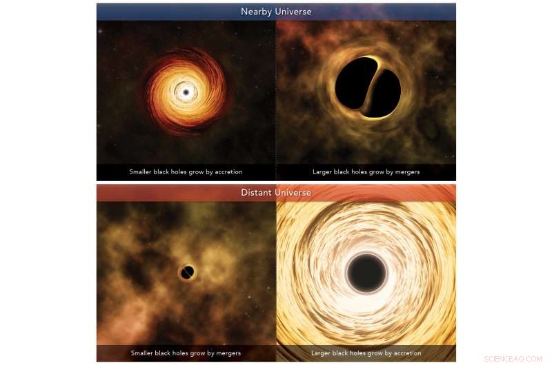 New Study Illuminates How Black Holes Grow Across the Cosmos