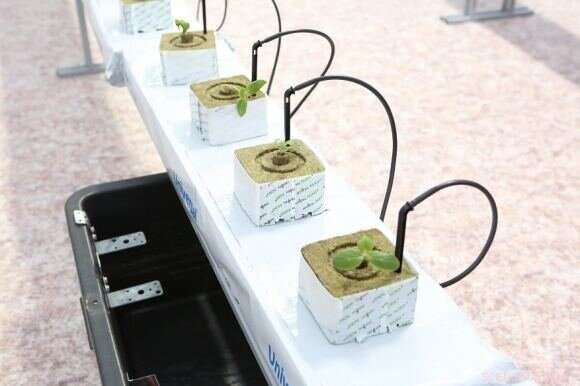 Sustaining Life on Mars: Developing Food & Water Systems for Crew Missions