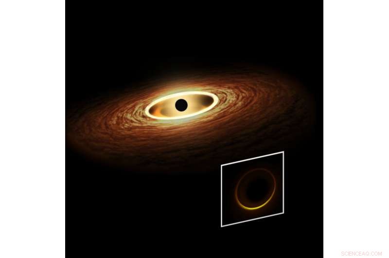 New Theorem Confirms Every Stationary Black Hole Possesses at Least One Light Ring