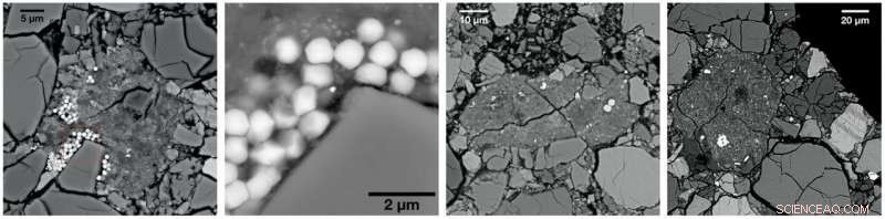 Micrometeoroids Transported Stardust and Water to Asteroid 4 Vesta