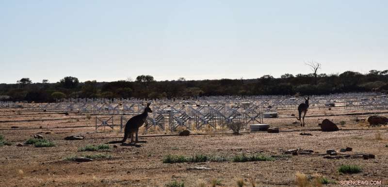 Scientists Edge Closer to Detecting a 12‑Billion‑Year‑Old Signal from the Universe s Dark Age