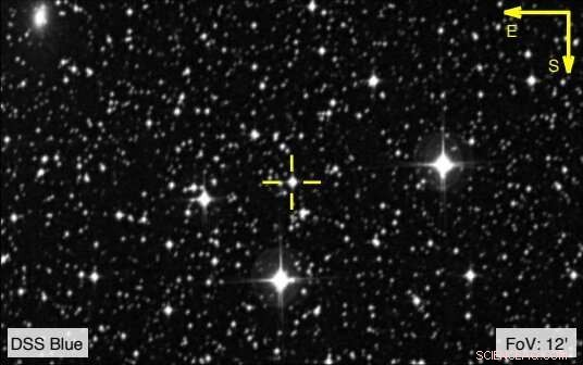 Unveiling an Unusual Chemical Signature in Star RAVE J183013.5−455510