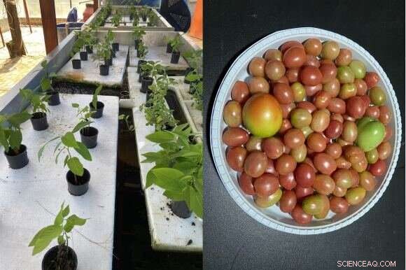 Habitat Mars: Pioneering Sustainable Living on the Red Planet