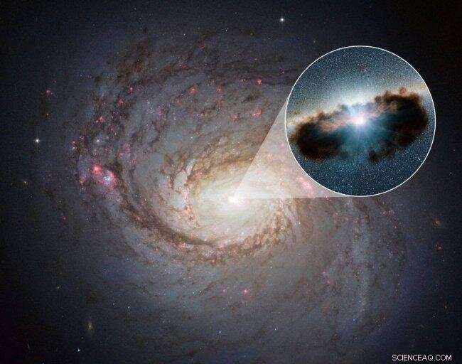 Supermassive Black Hole Coronae: Potential Hidden Sources of Cosmic Neutrinos Detected on Earth
