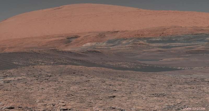 Using Earth’s Life Models to Search for Life on Mars