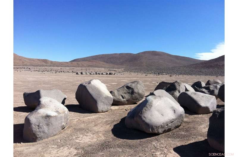 Using Earth’s Life Models to Search for Life on Mars