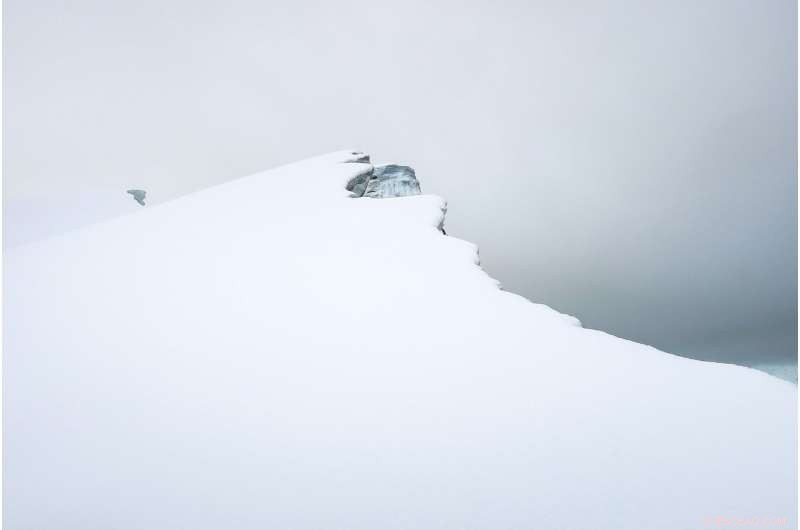 Using Earth’s Life Models to Search for Life on Mars