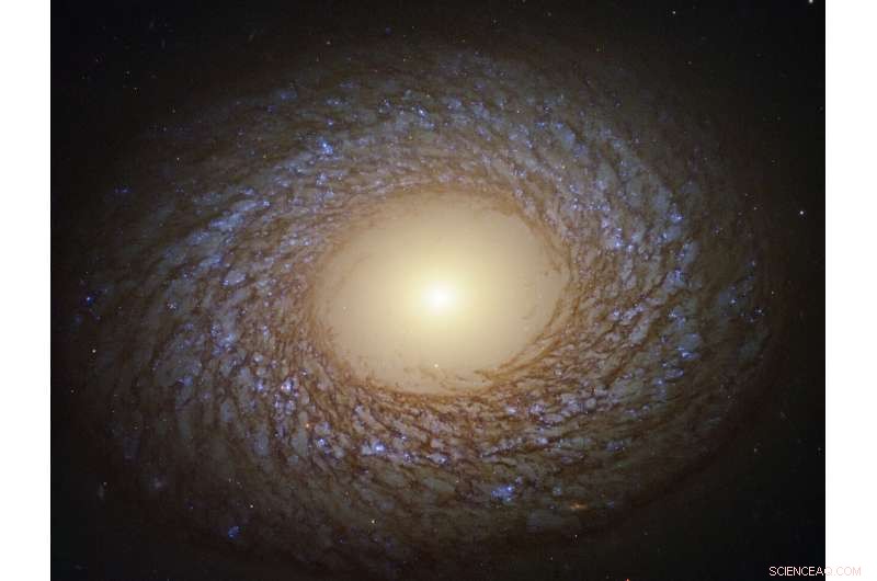 Hubble Reveals Delicate Feathered Spiral Arms in Galaxy NGC 2775