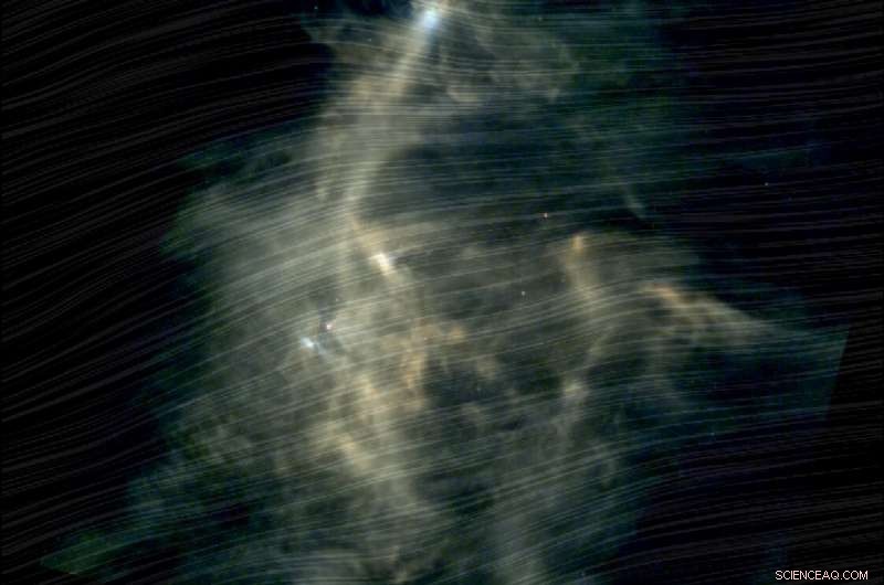 Herschel & Planck Reveal Magnetic Field Influence on Star-Forming Regions