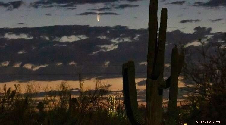New Comet NEOWISE Lights Up the Night Sky