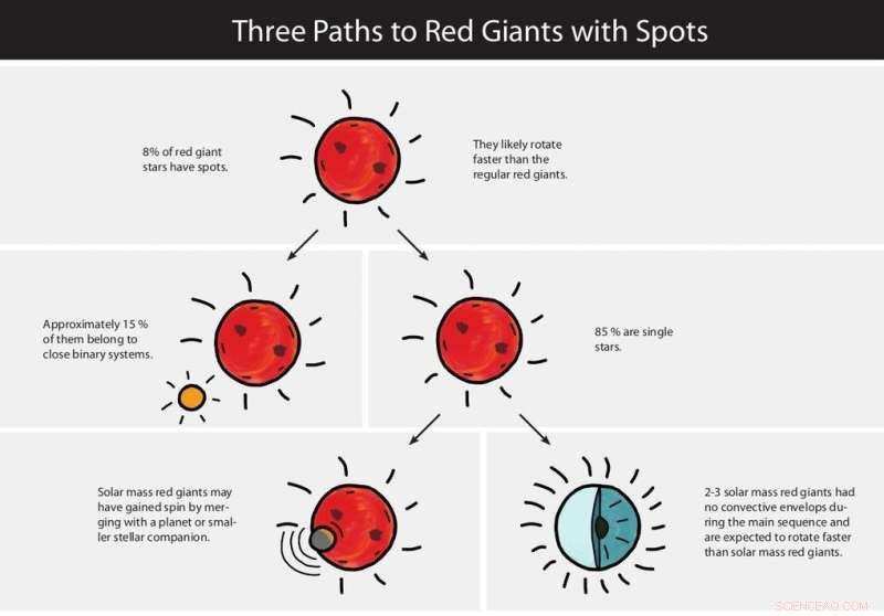 New Research Shows 8% of Red Giants Feature Sunspot‑Like Dark Areas