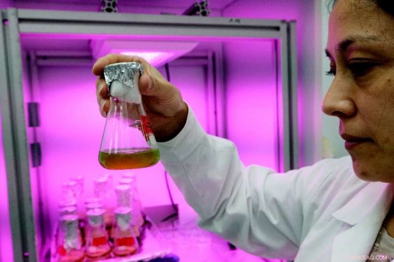 OHB Space: Germany’s Rising Satellite Maker Targeting the Stars