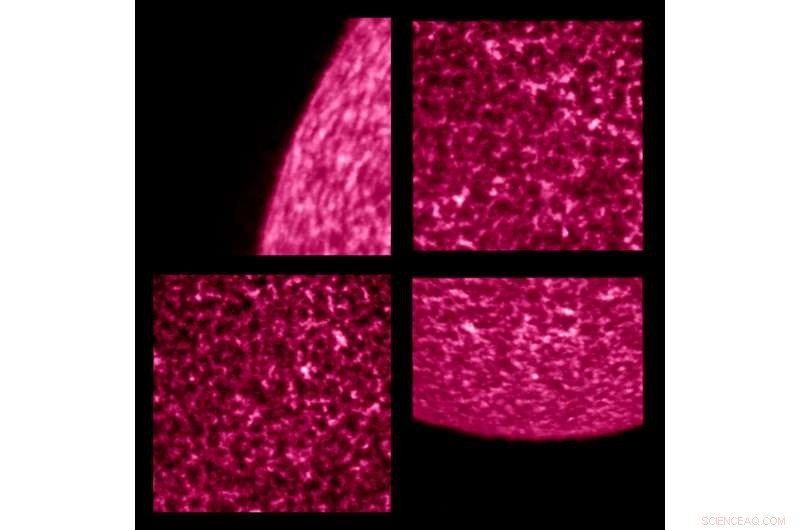 Solar Orbiter Captures Stunning Extreme Ultraviolet Close-Ups of the Sun