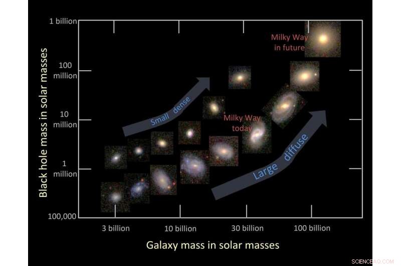 How Galaxies Die: Black Holes and the Quenching of Star Formation
