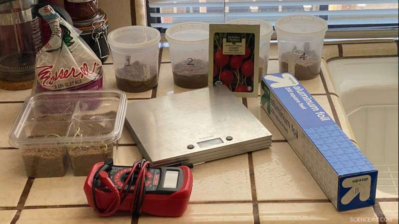 NASA Scientist Celebrates Homegrown Radish Growth with Time-Lapse