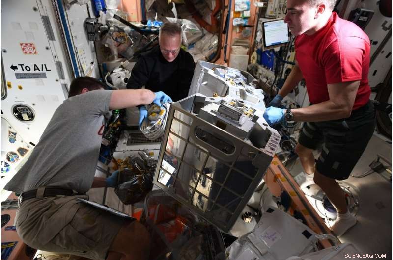 NASA s Mobile Base System: Enabling Canadarm2 and Dextre Operations on the ISS