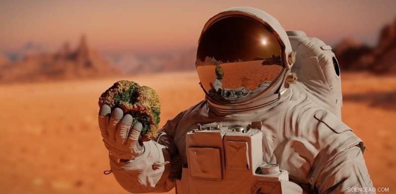 Microgravity Amplifies Bacterial Virulence: New Health Threats for Space Travelers