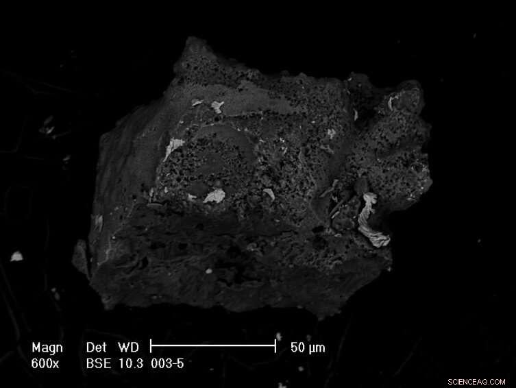 Revolutionary Method Enables Precise Mineral Identification of Antarctic Micrometeorites