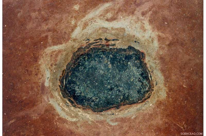 Space Dust Fossils Offer Fresh Insights into Earth s Ancient History