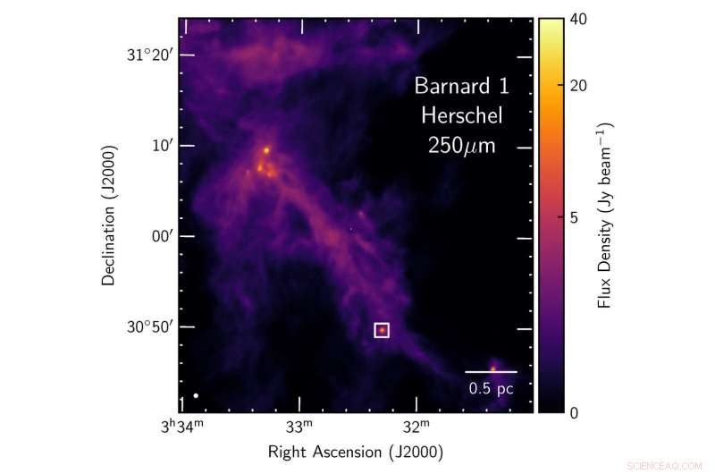 Perseus Molecular Cloud: First Observation of a Stellar Conveyor Belt Feeding a Growing Star System