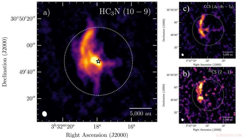 Perseus Molecular Cloud: First Observation of a Stellar Conveyor Belt Feeding a Growing Star System