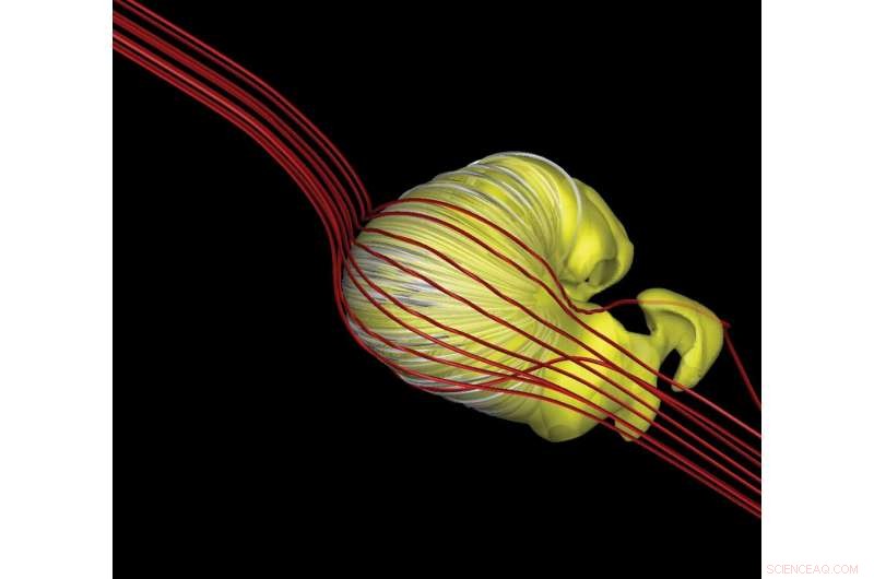 New Study Reveals Solar System’s Heliosphere Is a Deflated Croissant, Not a Comet