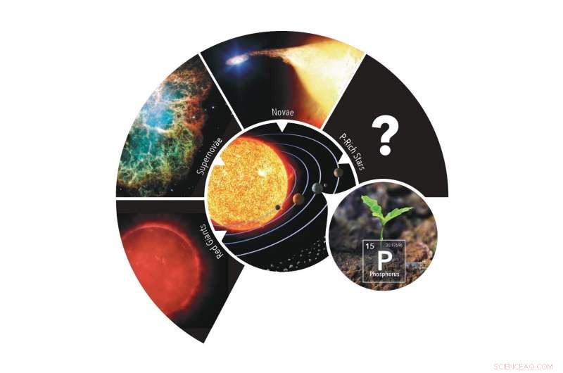 New Phosphorus‑Rich Star Sheds Light on Galactic Element Origins