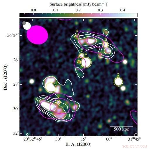 New Radio Relic Discoveries in Galaxy Cluster SPT-CL J2032−5627