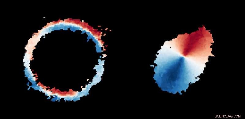 ALMA Uncovers Distant Milky Way‑Like Galaxy in Stunning Ring