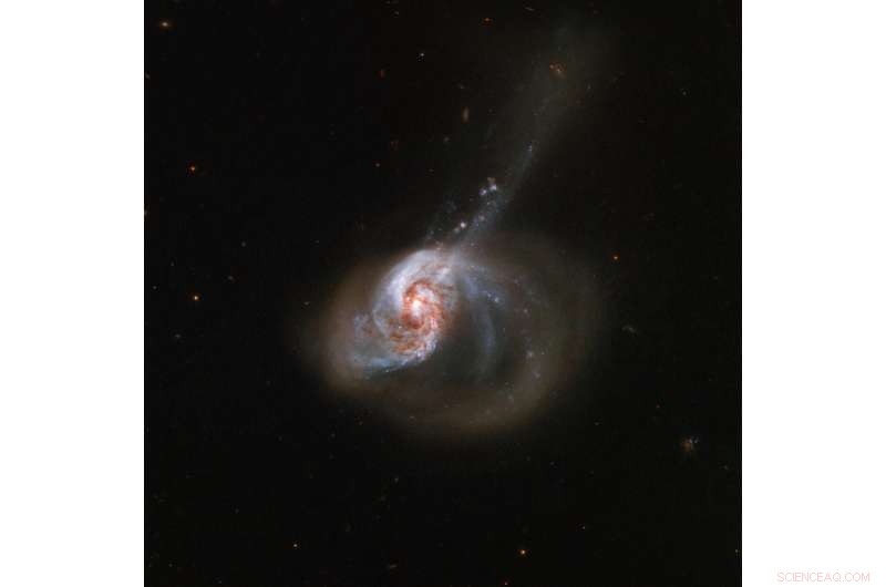 Hubble Captures the Stunning, Eccentric Structure of Galaxy NGC 1614