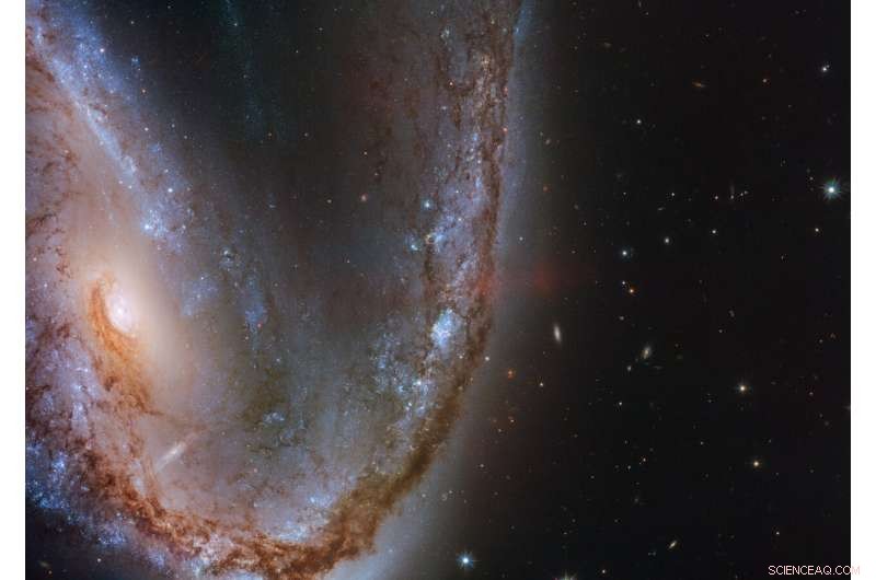 Hubble Reveals NGC 2442, the Meathook Galaxy, as Host of Supernova SN 2015F