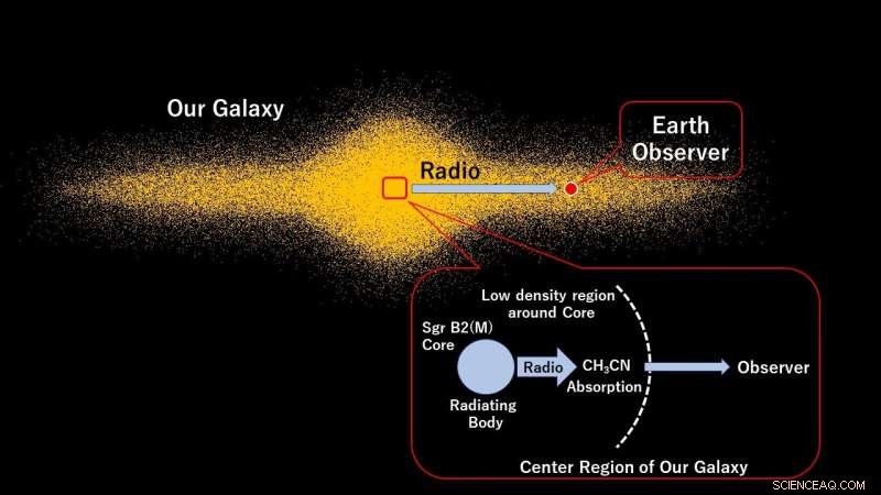 Unveiling the Cosmic Origins of Complex Organic Molecules Through Radiofrequency Signatures