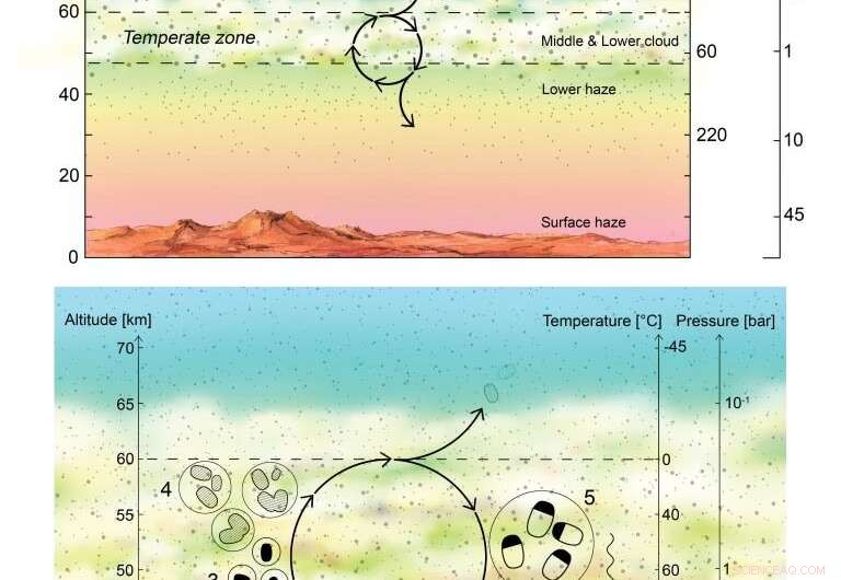 Exploring the Possibility of Life in Venus’ Cloud Tops
