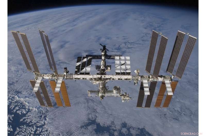 Bacteria May Survive Earth‑Mars Transit by Clustering Into Aggregates