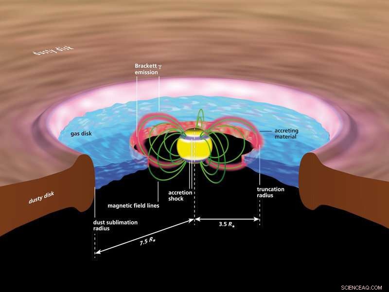 Magnetic Field Lines Channel Gas to Fuel Young Stars