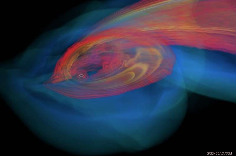 Black Hole Star Capture Unveils Rapid Accretion Disk Formation