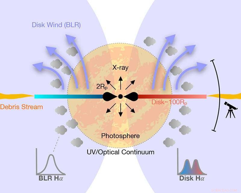 Black Hole Star Capture Unveils Rapid Accretion Disk Formation