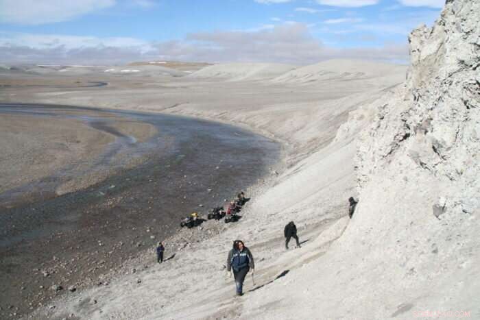 Could Meteorite Impacts Spark Life on Earth and Beyond?