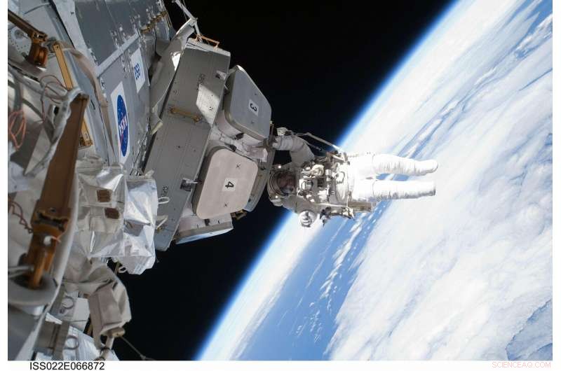 Spaceflight Causes Minor Brain Reorganization, No Neurodegeneration, Study Finds