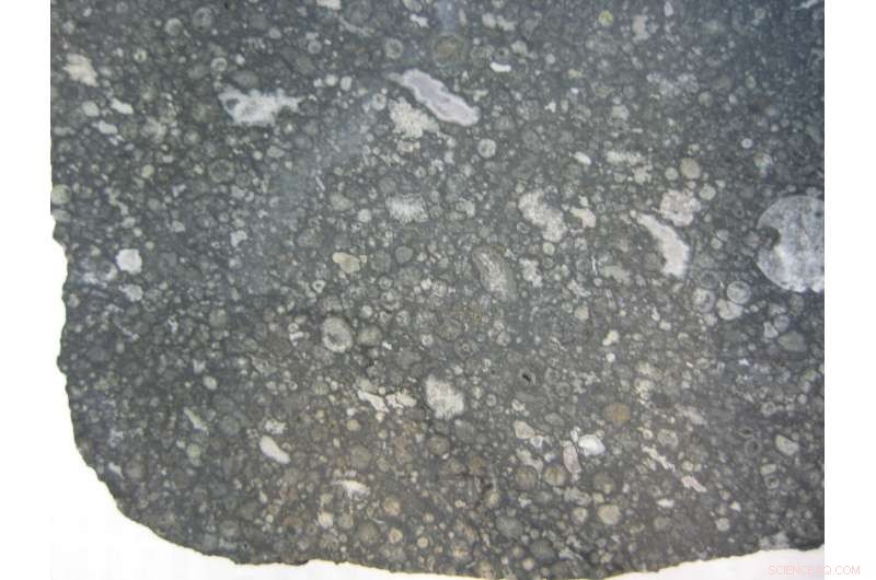 Allende Meteorite Reveals Early Solar System Material Transport