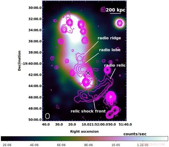 MeerKAT Detects Radio Relic in Nearby Galaxy Cluster A2384