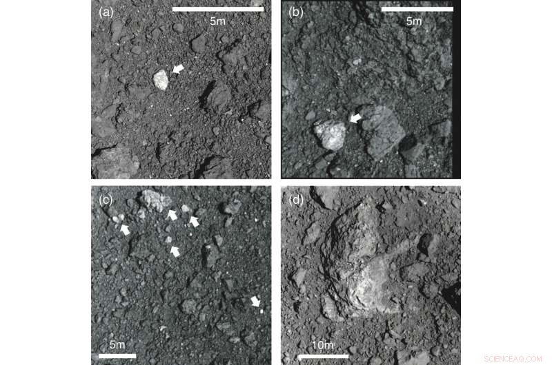 Ryugu’s Diverse Rock Types Reveal Asteroid’s Turbulent Past