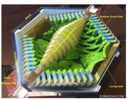 Scalable Space Habitat Design with Artificial Gravity for Growing Populations