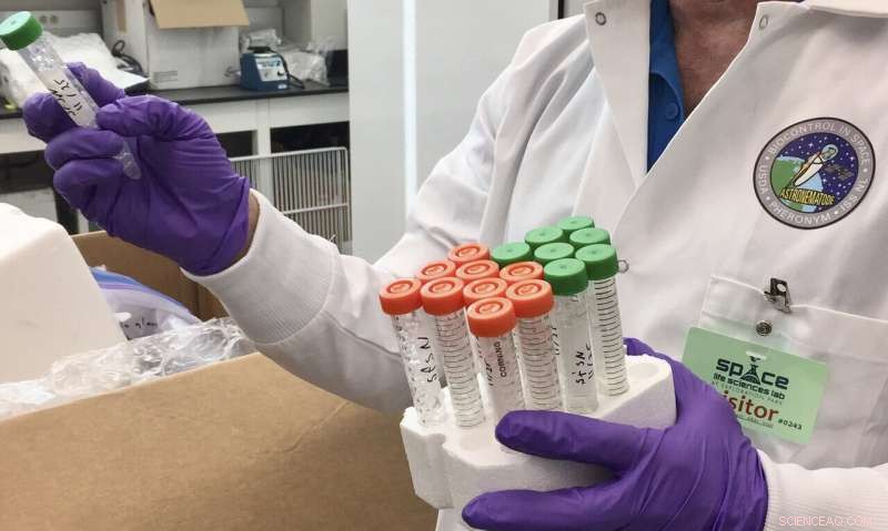 Space Nematodes: Pioneering Sustainable Pest Control for Interplanetary Agriculture