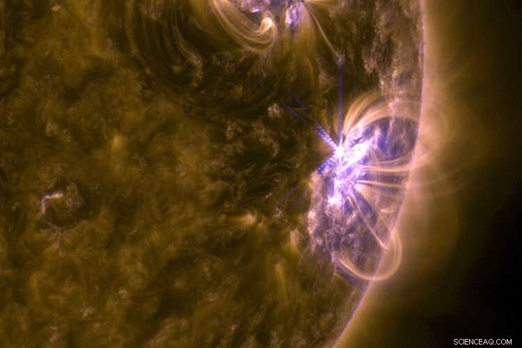 Can Solar Ripples Forecast Solar Flares? NASA Insights