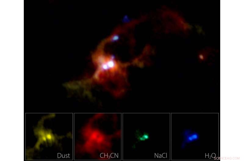Binary Massive Protostars Shrouded in Salty Water Vapor