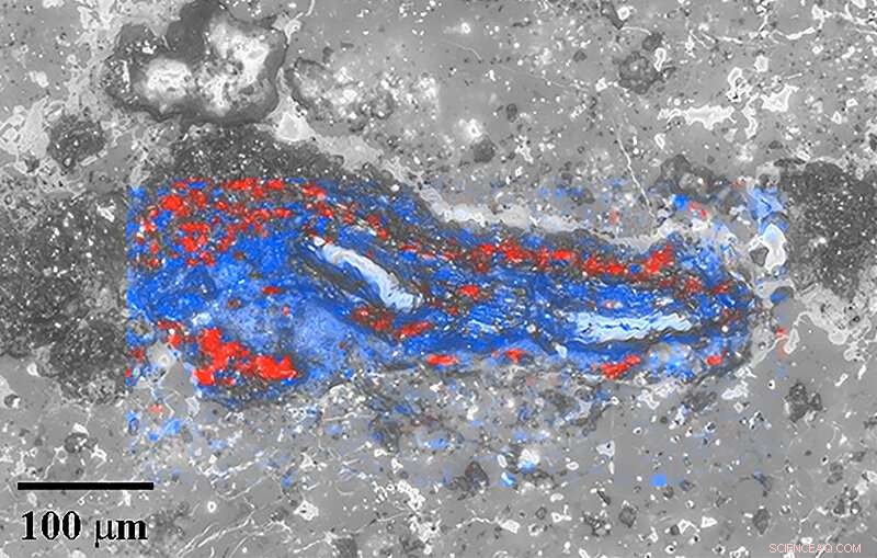 Scientists Uncover the Formation Process of Diamonds in Meteorite Ureilites