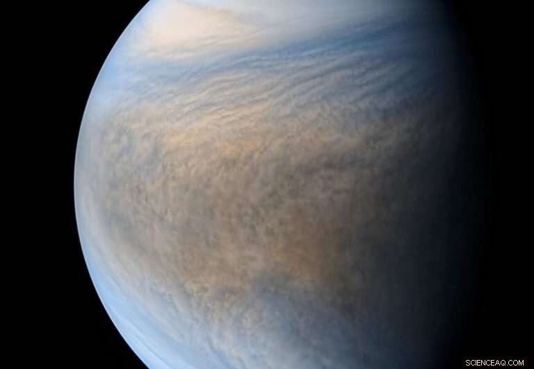Venus Could Have Been Habitable—Jupiter’s Gravitational Influence Altered Its Fate