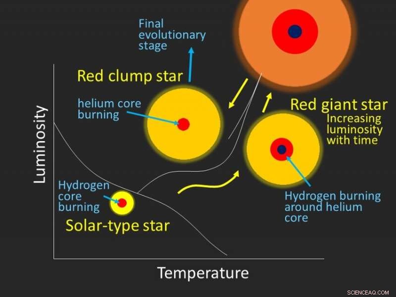 Unveiling the Secrets of Lithium‑Rich Stars Through Pulsation Monitoring