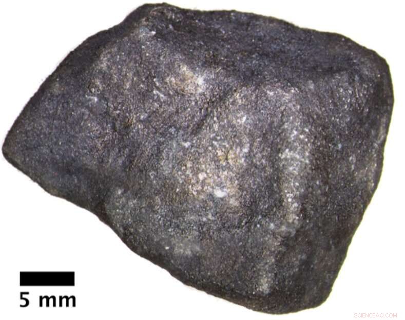 Pristine Extraterrestrial Organic Compounds Discovered in Fireball Meteorite